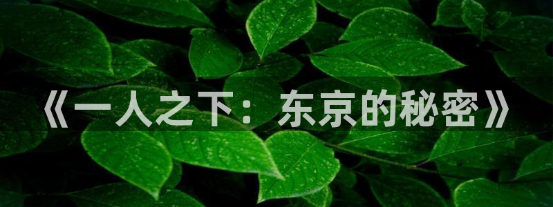age动漫怎么下载
